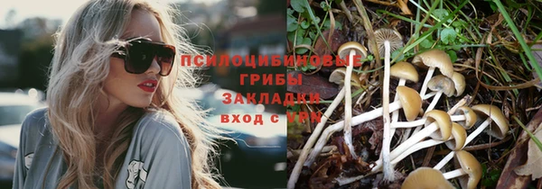 дживик Абаза
